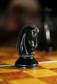 Bishop Wilkins SRIA College Chess Knight