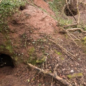 SRIA Templar Caves