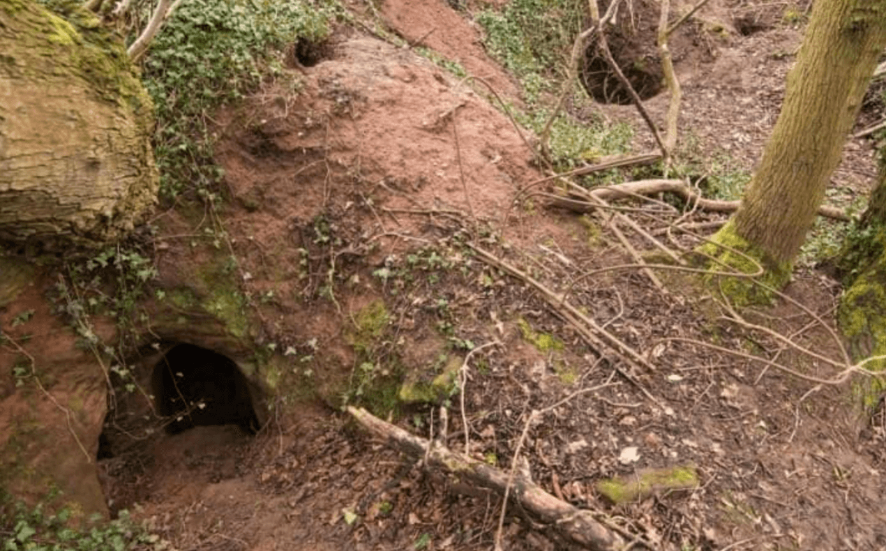 SRIA Templar Caves